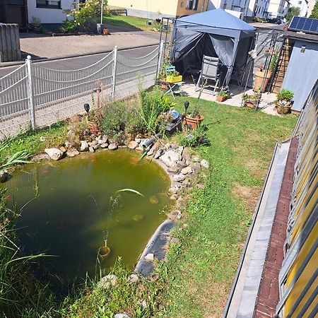 Ferienwohnung Hilgert Sankt Sebastian ภายนอก รูปภาพ